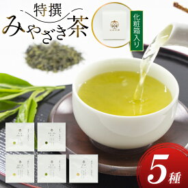 【ふるさと納税】 お茶 緑茶 特撰みやざき茶 一煎パック5袋セット 煎茶 深蒸し煎茶 釜炒り茶 白折 茎ほうじ 各1袋 [谷岩茶舗 宮崎県 日向市 452061616] 茶葉 小分け 日本茶 プラチナ賞