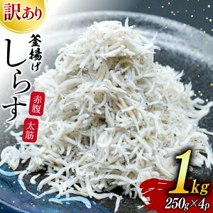 yӂ邳Ɣ[Łz 炷 󂠂 Do g炷 250g 4p v 1kg [Do߂񑺏㉮ {茧 s 452061049]  VX g Ⓚ Ⴑ WR A ԕ 