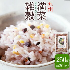 【ふるさと納税】 レビューキャンペーン 雑穀米 国産 混ぜるだけ 九州満菜 雑穀 250g 1 パック 約20合分 [オキス 宮崎県 日向市 452061133] 黒米 玄米 もち麦 押し麦 野菜 おにぎり お弁当 米 こめ