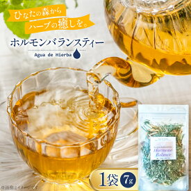 【ふるさと納税】 レビューキャンペーン ハーブティー ホルモンバランス ティー 7g 1袋 [Agua de Hierba 宮崎県 日向市 452061177] ハーブ 茶 簡易包装 お茶 保存袋