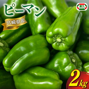 yӂ邳Ɣ[Łz yԌ蔭z s[} {茧Ys[} 2kg [_ {茧 s 452061218] { pp  ₳ T_ VN BBQ
