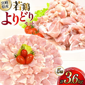 【ふるさと納税】 鶏肉 宮崎県産 若鶏 よりどり 3.6kg セット [TRINITY 宮崎県 日向市 452061334] 小分け 個包装 冷凍 もも もも肉 鶏もも 手羽先 手羽中 手羽元 肩肉 真空パック 真空包装