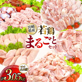 【ふるさと納税】 鶏肉 業務用 宮崎県産 若鶏 もも切身 むね切身 筋なしささみ 砂肝 肝 手羽先 手羽中 手羽元 肩肉 小肉 骨付きもも 計 3.05kg セット [TRINITY 宮崎県 日向市 452061335] 小分け 冷凍 鶏もも肉 鶏むね肉 ささみ 詰め合わせ