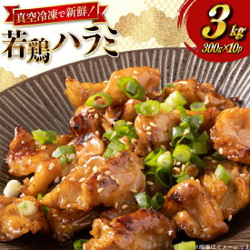 【ふるさと納税】 レビューキャンペーン 鶏肉 はらみ 宮崎県産 若鶏 ハラミ 300g 10p 計 3kg セット [TRINITY 宮崎県 日向市 452061343] 小分け 真空パック サガリ 【日向市は若鶏出荷額5年連続日本一】