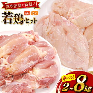 yӂ邳Ɣ[Łz { Zbg Iׂ e {茧Y { g ނːg 2kg 4kg 8kg Zbg [TRINITY {茧 s 452061378]   ނ˓  Ƃ ނ { {