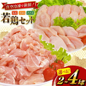 yӂ邳Ɣ[Łz {  Iׂ e {茧Y { 2kg 4kg Zbg [TRINITY {茧 s 452061379] {  {ނ˓ ނ˓  TT~ Ⓚ { lߍ킹