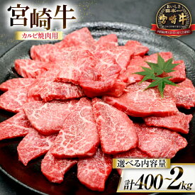 【ふるさと納税】 牛肉 宮崎牛 カルビ 焼肉用 選べる内容量 400g 〜 2kg [ローカルブランディング 宮崎県 日向市 452061416] 冷凍 小分け 黒毛和牛 黒毛 A4 A5 焼肉 焼き肉 BBQ バーベキュー 国産