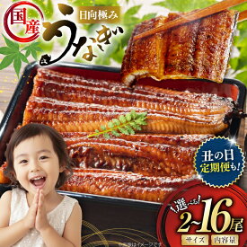 【ふるさと納税】 レビューキャンペーン うなぎ 選べる発送内容 2尾 240g以上 300g 以上 or 4尾 定期便 【たれ・山椒付き】 国産 日向極み うなぎ蒲焼 [日向サンパーク 宮崎県 日向市 452061646] ギフト 小分け 真空パック 鰻 ウナギ うなぎの蒲焼 蒲焼