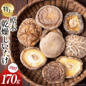 yӂ邳Ɣ[Łz Y     ǂ 170g [lӂ {茧 s 452061577] ő ǂ  ő