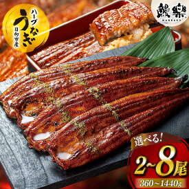 【ふるさと納税】 レビューキャンペーン うなぎ 鰻楽 宮崎県産 蒲焼 タレ山椒付き ハーブうなぎ 選べる 内容量 [鰻楽 宮崎県 日向市 452061578] 真空パック 国産 蒲焼き 長焼き ウナギ 鰻 長蒲焼 冷凍 化粧箱入り 贈答 ハーブ