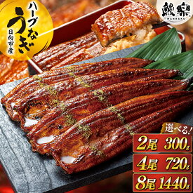 【ふるさと納税】【高評価★4.84】 うなぎ 国産 宮崎 蒲焼 ハーブうなぎ 選べる 内容量 2尾 4尾 8尾 [鰻楽 宮崎県 日向市 452061578] レビューキャンペーン 蒲焼き 長焼き ウナギ 鰻 長蒲焼 冷凍 化粧箱入り ギフト 鰻楽