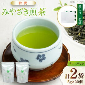 【ふるさと納税】 茶 特撰 みやざき 煎茶 ティーバッグ 5g×20個入 計2袋 [谷岩茶舗 宮崎県 日向市 452061615] お茶 日本茶 新茶 簡易包装 一番茶 新茶