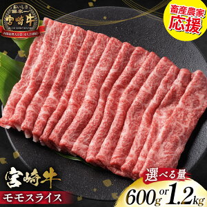 yӂ邳Ɣ[Łz y{Y_Ɖzr[Ly[ 喞I{苍 XCX Iׂe 600g 1p or 2p [~`N {茧 s 452061280] Ԑg Ă Ԃ  