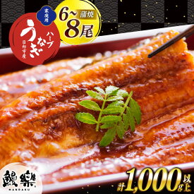 【ふるさと納税】6～8尾 計1kg 以上 鰻楽 うなぎ ハーブ うなぎ蒲焼 タレ 山椒 付き [鰻楽 宮崎県 日向市 452061198] セット 宮崎県産 真空パック 国産 蒲焼き ウナギ 鰻 長蒲焼 冷凍