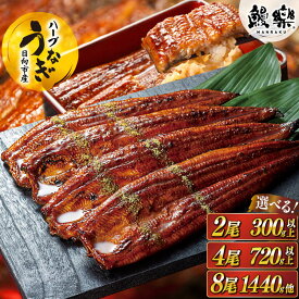 【ふるさと納税】 レビューキャンペーン うなぎ 鰻楽 宮崎県産 蒲焼 タレ山椒付き ハーブうなぎ 選べる 内容量 [鰻楽 宮崎県 日向市 452061578] 真空パック 国産 蒲焼き 長焼き ウナギ 鰻 長蒲焼 冷凍 化粧箱入り 贈答 ハーブ