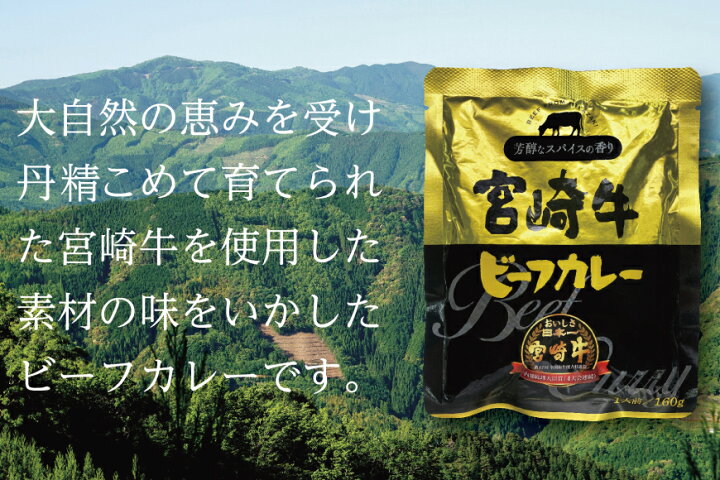 楽天市場】【ふるさと納税】お肉多め！ 宮崎牛 カレー 160g 12袋 