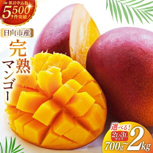【2026年夏発送】「生産者応援・数量限定」 訳あり 宮崎...