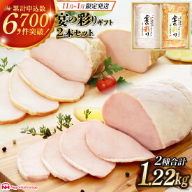 【ふるさと納税】 【11月・12月・1月 発送】 ハム 日本ハム 人気のハム2種大容量セット 宴の彩り 計1.22kg [日本ハムマーケティング 宮崎県 日向市 452060590] ニッポンハム はむ 豚 肉 ロースハム ステーキ ギフト 真空 冷蔵 贈答