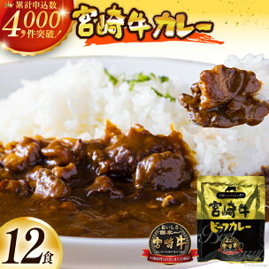 カレー レトルト 宮崎牛 カレー 160g 12袋 【選...
