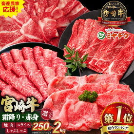 【ふるさと納税】総合1位獲得！【畜産農家応援】 牛肉 宮崎牛 選べる 用途 部位 内容量 250g〜2kg [ミヤチク 宮崎県 日向市 452061226] 焼肉 すき焼き しゃぶしゃぶ モモ バラ 肩ロース 赤身 セット 冷凍 小分け 250g 500g 1kg 2kg 和牛 ふるさと納税 牛 10営業日以内発送