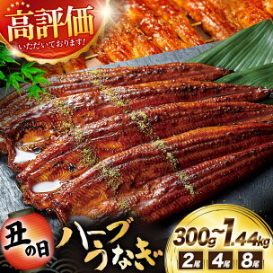 うなぎ 蒲焼 国産 宮崎県産 選べる 2尾〜8尾 ハーブ...