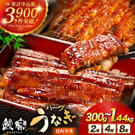 【ふるさと納税】【高評価★4.84】 うなぎ 国産 宮崎 蒲焼 ハーブうなぎ 選べる 2尾 4尾 6尾 8尾 [鰻楽 宮崎県 日向市 452061578] 母の日 父の日 土用 丑の日 土用の丑の日 蒲焼き 長焼き ウナギ 鰻 冷凍 化粧箱入り ギフト 鰻楽 unagi