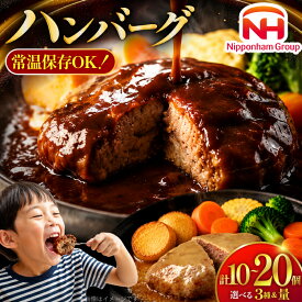 【ふるさと納税】 常温保存 選べる容量 ハンバーグ 10個 or 20個 日本ハム ソース選択可 [日本ハムマーケティング 宮崎県 日向市 452061834] レトルト レンチン 湯煎 常温 小分け 保存食 防災食 非常食 ふるさと納税 時短 弁当 惣菜 デミグラス バター醤油 150g