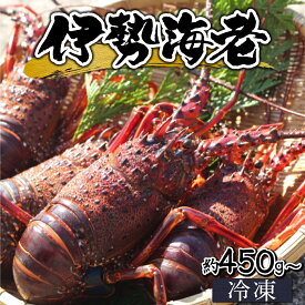 【ふるさと納税】【先行予約】【数量限定】＜生冷凍＞宮崎県串間産 天然伊勢エビ(約450g〜800g) 串間産の伊勢エビを鮮度そのままにお届け！ 生のまま冷凍しているのでお刺身・焼物・味噌汁でも頂けます！【豊漁丸】【HRISR】