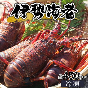yӂ邳Ɣ[Łzys\zyʌzⓀ{茧ԎY VRɐGr(450g`800g) ԎŸɐGrNx̂܂܂ɂ͂I ̂܂ܗⓀĂ̂łhgEĕEX`