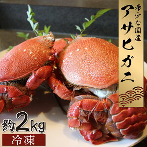 yӂ邳Ɣ[ŁzyʁEԌz{茧ԎYATqKj(v2kg){ł͑ϊ󏭂ȍYATqKj IyLہzyKU018z