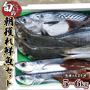 yӂ邳Ɣ[Łzys\tz{茧ԎY lNZbgv5`6kg(6`7) uԂɂ錵IulNvtI C̍KyLہzyKU072z