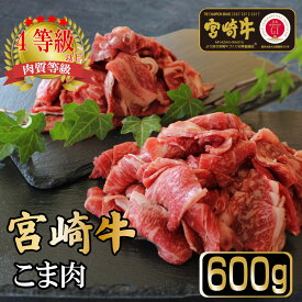 【ふるさと納税】＜宮崎牛＞こま肉300g×2袋（計600g)美味しい牛肉をご家庭で【KU032】