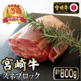【ふるさと納税】＜宮崎牛＞ スネブロック (800g) 美味しい牛肉をご家庭で【KU045】