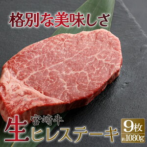 yӂ邳Ɣ[ŁzIׂ閇 ①E^󏭕ʁIA4ȏI{苍qXe[Li1120gj {苍{̎|𖡂킦鐶ł͂ĨXe[LIyX[