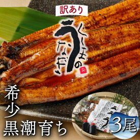 【ふるさと納税】【訳あり・数量限定】選べる！くしまの黒潮うなぎ蒲き【大田商店】【KU468】