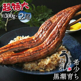 【ふるさと納税】【数量限定】選べる！超特大くしまの黒潮うなぎ蒲焼【大田商店】【OTUCT】