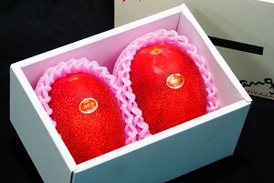 �y�ӂ邳�Ɣ[�Łz����s�\�񁄁y���ʌ���z���n�}���S�[�E�ԏG(1kg�E2�`3��) �{�茧�Y�̊��n�}���S�[ �y���Ԏs�呩�_�Ƌ����g���z�yKU020�z