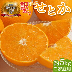 【ふるさと納税】≪期間限定・先行予約≫ 2026年1月中旬より発送開始【数量限定】訳あり 農林水産大臣賞受賞農園！ふるやさんちの温室せとか（約5kg・20〜24玉※サイズ混合）宮崎県産 果物 フルーツ みかん 柑橘 ギフト お取り寄せ 特産品【ふるやさんちのみかん園】AD-AB1