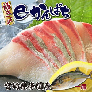 yӂ邳Ɣ[Łzys\zIsbNiuAEL({BGRx)vF؎擾̃Jp`IYv~AtBbVue-ςvۂ1(EhE3.0kg`3.8kg)y}G