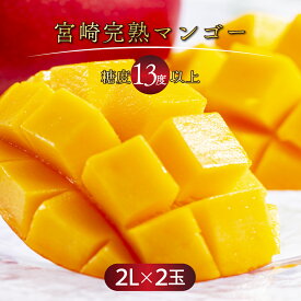 【ふるさと納税】＜先行予約＞【選べる内容量】スタッフ一押し【数量限定】最低でも糖度13度以上、平均15度以上！高評価 宮崎完熟マンゴー(2L×2玉入・簡易箱入り) ご自宅用 農家直送令和8年5月上旬から発送！【やました農園】【KU477】
