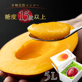 【ふるさと納税】＜先行予約＞【数量限定】【内容量が選べる】糖度15度以上の宮崎完熟マンゴー(5L×1玉入・贈答用) ＜ギフト用＞ 【A級品 化粧箱入り】令和8年5月頃から発送！【やました農園】【AE-C2】