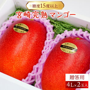 yӂ邳Ɣ[Łzs\񁄁yIׂeʁzTCY݌v11,000ʐ\˔j!!yʌzx15xȏ̋{芮n}S[(4L×2ʓEp Mtgp {}S[)ߘa8N5