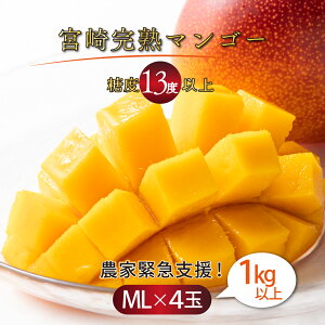 yӂ邳Ɣ[Łzϓx15xȏIՂ1kgȏIy󂠂:xz{芮n}S[ƒp MELTCY2ʓ×2pbN(1,000g`1,200g)y܂_zyYMPML4z