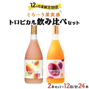 yӂ邳Ɣ[ŁzyցES12z̉ʎIO@oEpbVt[chN2{Zbg(720ml×2{)×12y{ʏ`zyKU105z