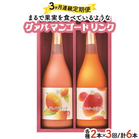 【ふるさと納税】【定期便・全3回】とろーり果実感！グァバ・マンゴードリンク2本セット(各720ml×2本)×3回 【宮崎果汁】【KU107】