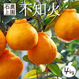 【ふるさと納税】＜先行予約受付中！2026年2月中旬から順次発送＞串間市都井「石上農園」の訳あり 「蔵出し」不知火 4kg (12〜15玉) ミカン 蜜柑 フルーツ 果物【石上農園】【AF-A3】