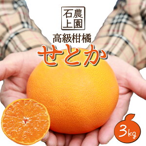 yӂ邳Ɣ[Łzs\t I2026N2{珇ʌIԎssuΏ_v k Ƃ 3kgi10`12ʁj  ~J t[c ʕ Mtg 蕨yΏ_z