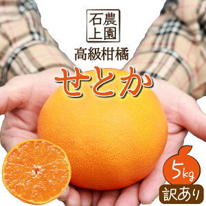 yӂ邳Ɣ[Łzs\tI2026N2{珇ʌIԎssuΏ_v킯 Ƃ(5kg 16`20) ݂ ~J  t[c ʕ 󂠂yΏ_zy