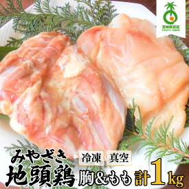 【ふるさと納税】＜認定農家直送＞のびのびと育てたみやざき地頭鶏の生肉セット(合計1kg・モモ肉300g×2P、ムネ肉200g×2P) 精肉 肉 お肉 鶏肉 鶏 地頭鶏 むね肉 鶏むね肉 もも肉 鶏もも肉 ふるさと おすすめ グルメ ギフト 贈り物 贈答 特産品 宮崎県 串間市 送料無料