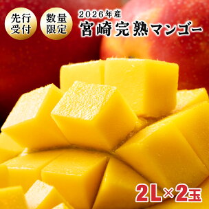 【先行予約】＜数量限定＞宮崎完熟マンゴー 2L×2玉（35...